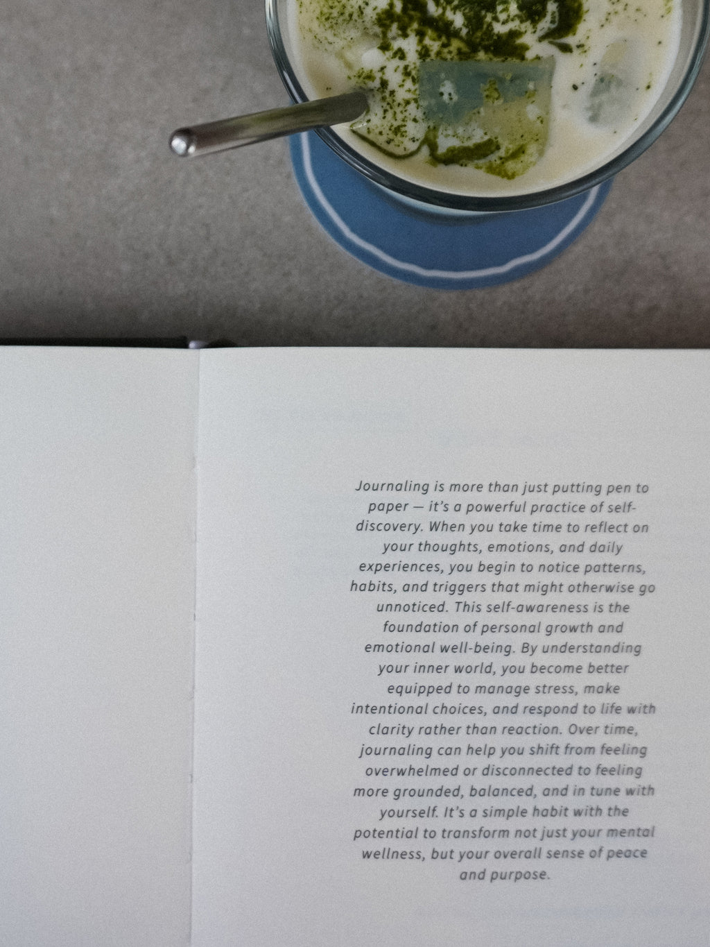 The Mornight Journal: Olive Grove