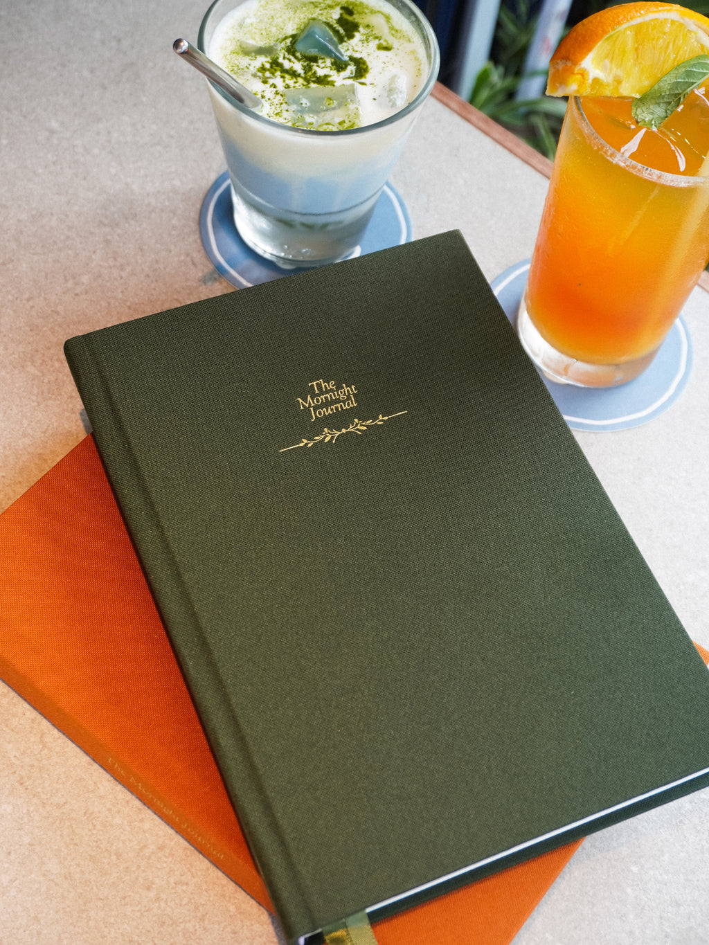 The Mornight Journal: Olive Grove