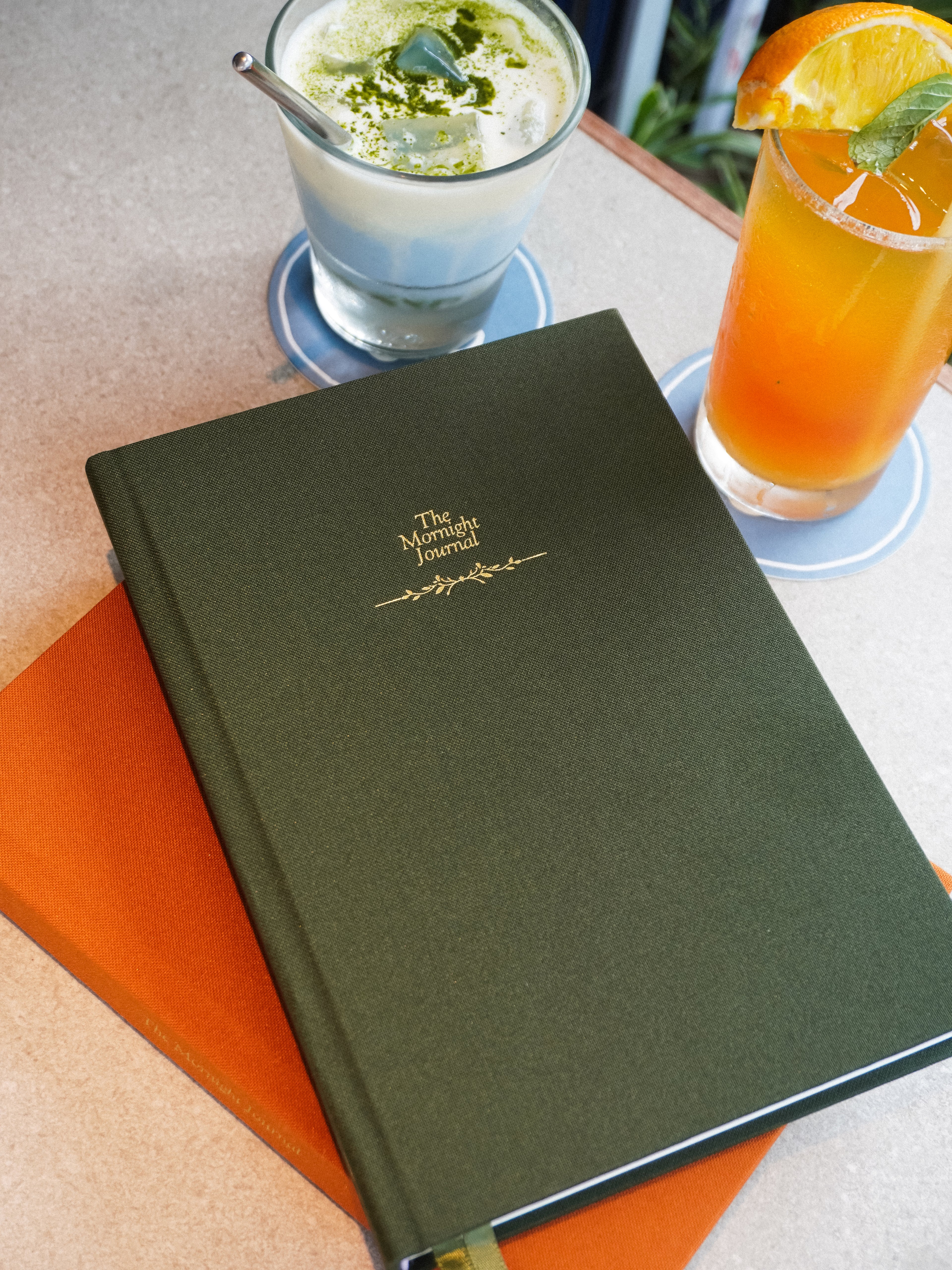 The Mornight Journal: Olive Grove