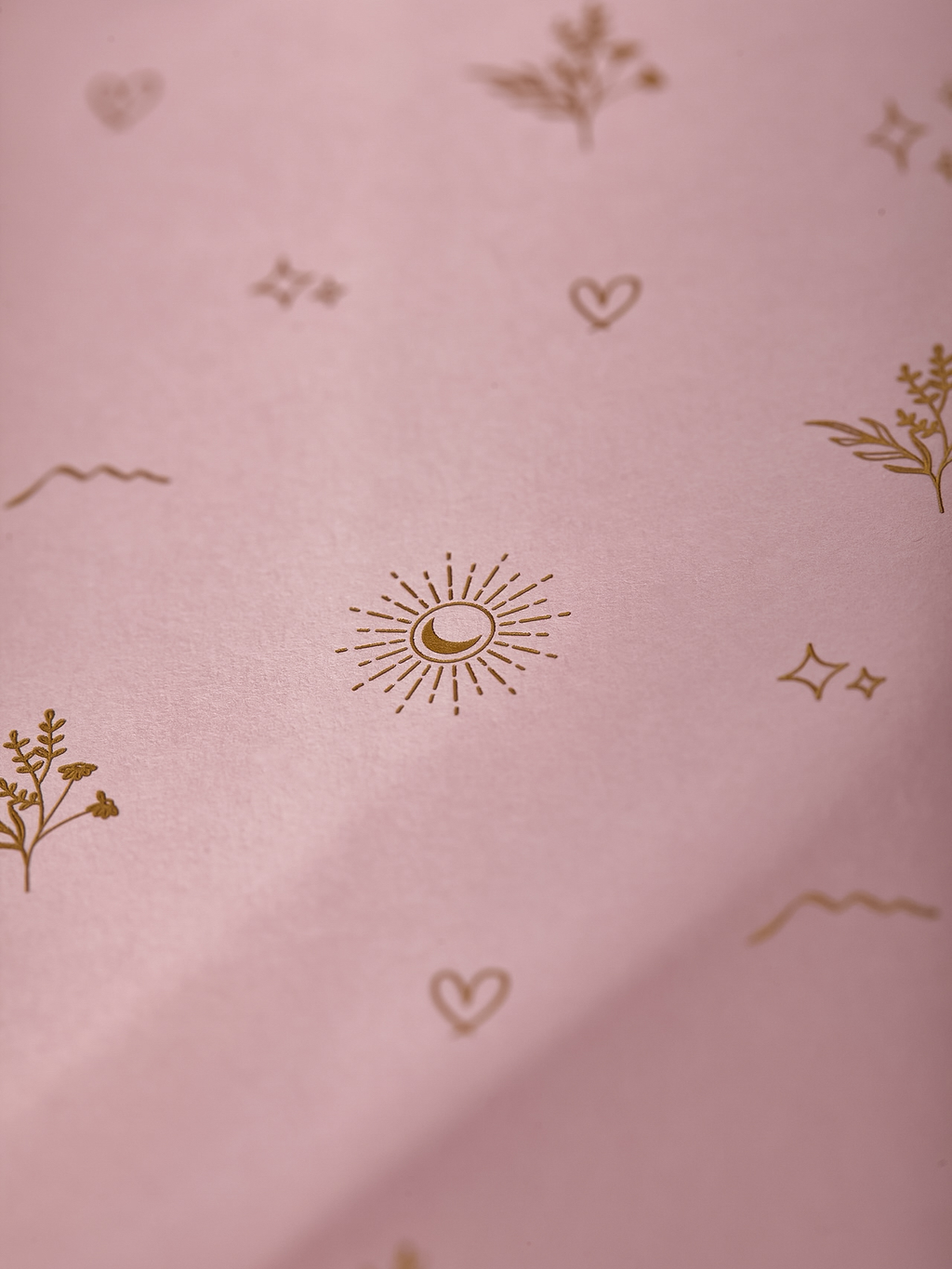The Mornight Journal: Tender Blush