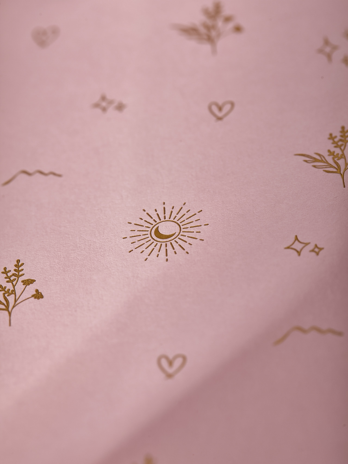 The Mornight Journal: Tender Blush