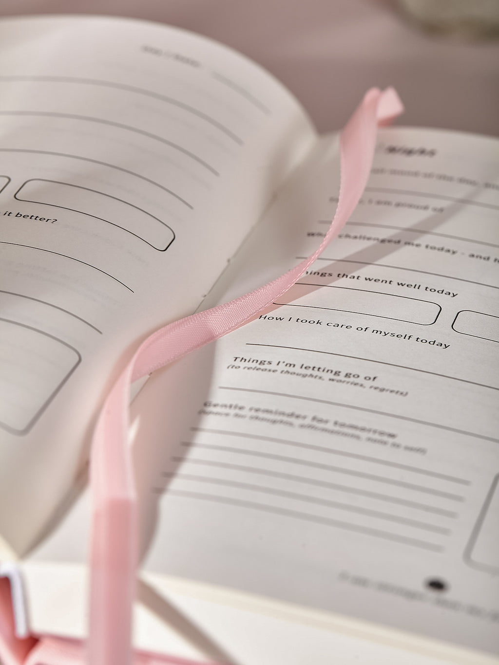 The Mornight Journal: Tender Blush