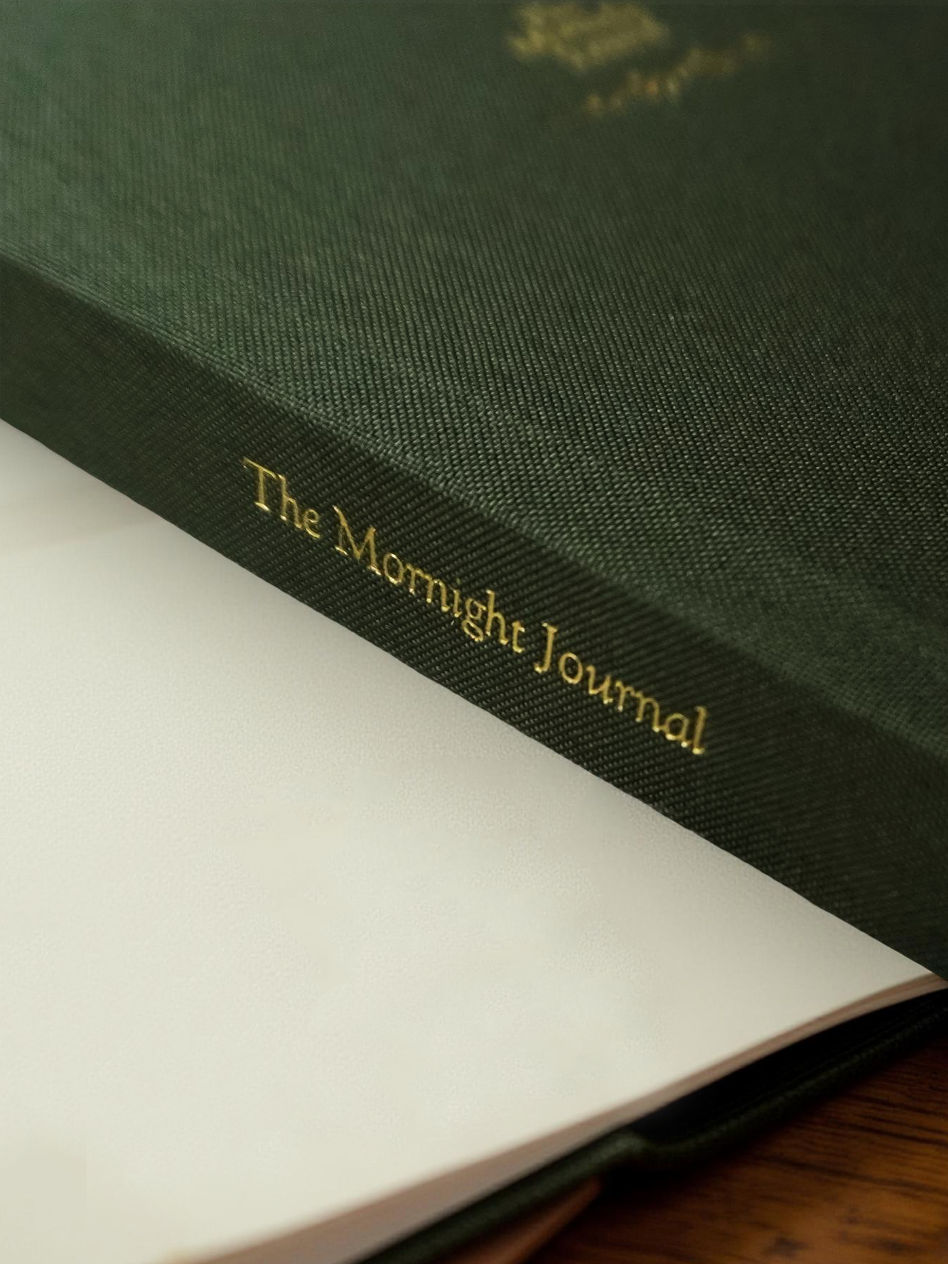 The Mornight Journal: Olive Grove
